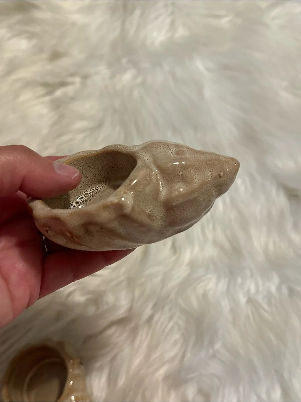 N/A trio seashell